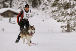 Kandersteg 2014 WM