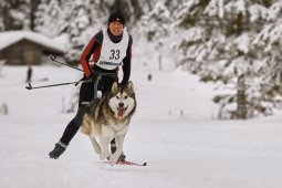 Kandersteg 2014 WM