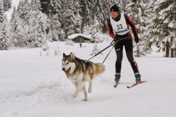 Kandersteg 2014 WM