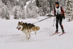 Kandersteg 2014 WM