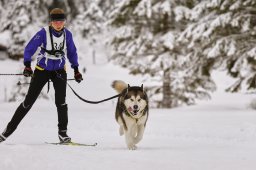 Kandersteg 2014 WM