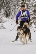 Kandersteg 2014 WM