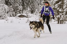 Kandersteg 2014 WM