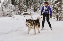 Kandersteg 2014 WM