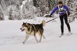 Kandersteg 2014 WM