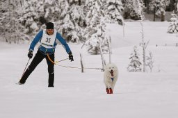 Kandersteg 2014 WM