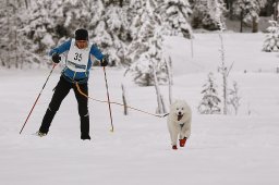 Kandersteg 2014 WM