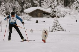 Kandersteg 2014 WM