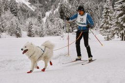 Kandersteg 2014 WM