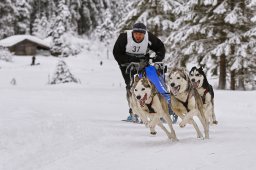 Kandersteg 2014 WM