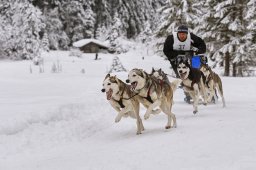 Kandersteg 2014 WM