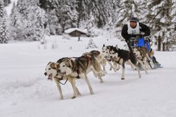 Kandersteg 2014 WM