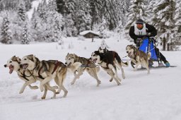 Kandersteg 2014 WM