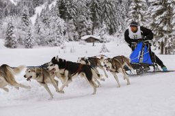 Kandersteg 2014 WM