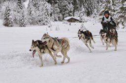 Kandersteg 2014 WM