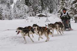 Kandersteg 2014 WM