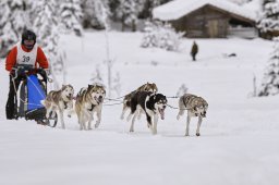 Kandersteg 2014 WM