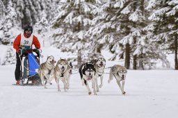 Kandersteg 2014 WM