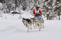 Kandersteg 2014 WM