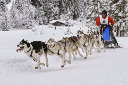 Kandersteg 2014 WM