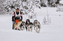 Kandersteg 2014 WM