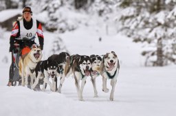 Kandersteg 2014 WM