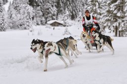 Kandersteg 2014 WM