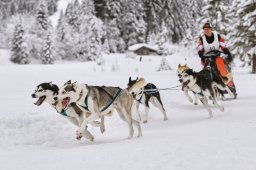 Kandersteg 2014 WM