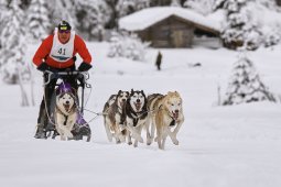 Kandersteg 2014 WM