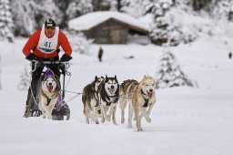 Kandersteg 2014 WM