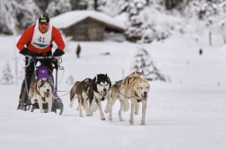 Kandersteg 2014 WM