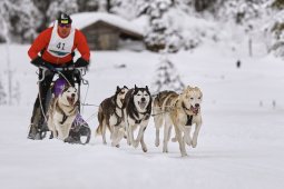 Kandersteg 2014 WM