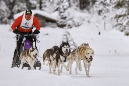 Kandersteg 2014 WM