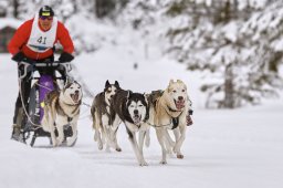 Kandersteg 2014 WM