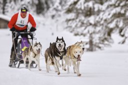 Kandersteg 2014 WM