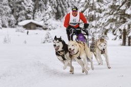 Kandersteg 2014 WM