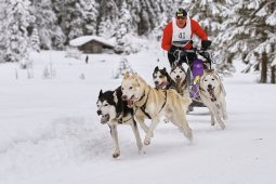 Kandersteg 2014 WM