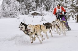 Kandersteg 2014 WM