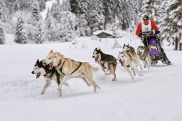 Kandersteg 2014 WM