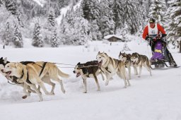 Kandersteg 2014 WM