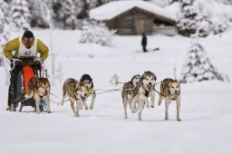 Kandersteg 2014 WM