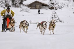 Kandersteg 2014 WM