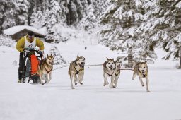 Kandersteg 2014 WM