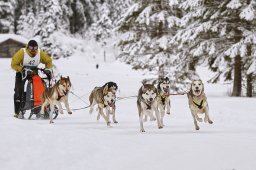 Kandersteg 2014 WM