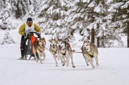 Kandersteg 2014 WM