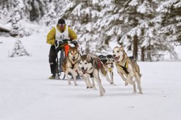 Kandersteg 2014 WM