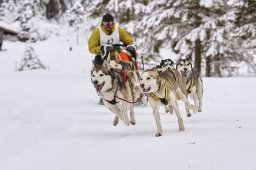 Kandersteg 2014 WM