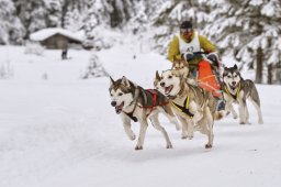 Kandersteg 2014 WM