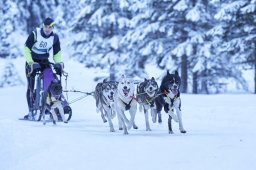 Kandersteg 2014 WM