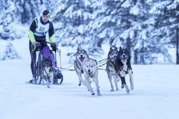 Kandersteg 2014 WM